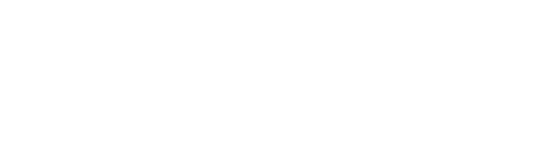 IBMOT