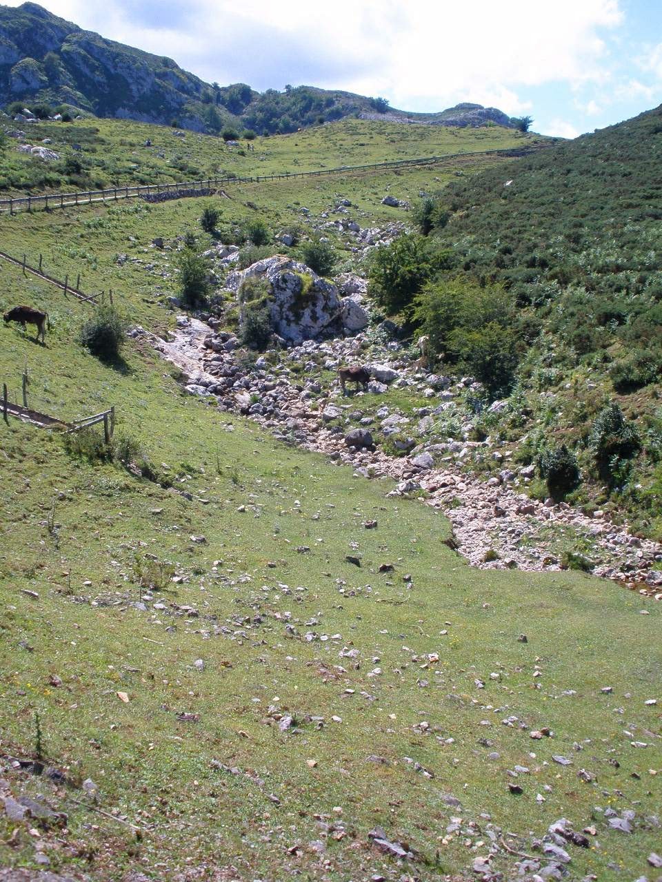 Picos de Europa
