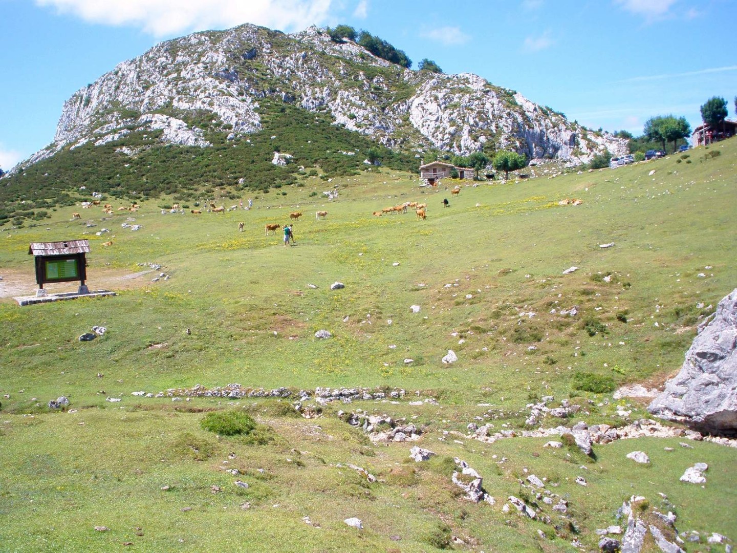 Picos de Europa